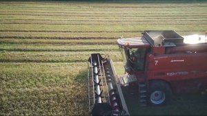 Кейс 2388 Ротор vs Зелень