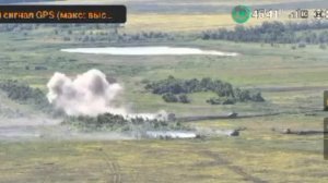 1 АЛЕША -8 укропии