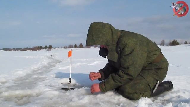 Бешеный клёв щуки на жерлицы в оттепель смотреть онлайн