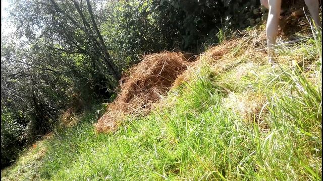 Ежиха и ежата на даче смотреть онлайн