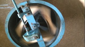 Медогонка трёхрамочная необоротная. Нефтекамск.