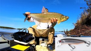 Итоги сезона. ТОП хищных рыб Амура пойманных на СПИННИНГ. ЛУЧШИЕ снасти приманки