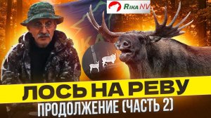 Охота на лося на вабу, на реву, гону! Продолжение. Часть 2 СЕКРЕТЫ охоты от Игоря Кроля.