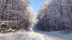 #снег#кусары#лес#лезгинка Кусары дорога село Аваран красиво как в сказке