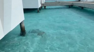 Maldives Riu Atoll Magnificent Water Bungalows