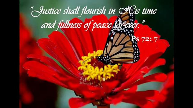Responsorial Psalm - Psalm 72 ChristmasNovena - Day 3