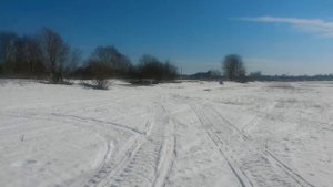 Yamaha Viking Professional 2. Тест