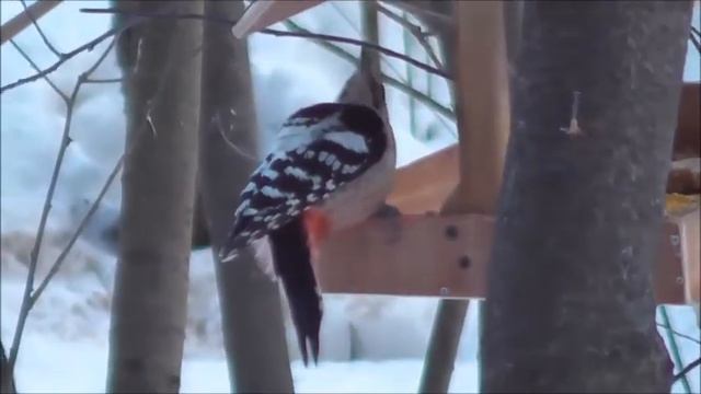 У плотины смотреть онлайн