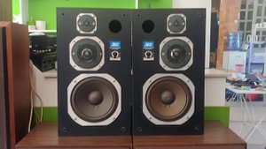 Coral X-iii bass 21cm, nhiều anh em săn tìm