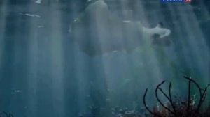 кембрийский период