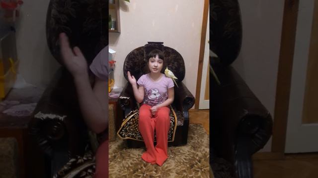 Адаптация попугаев.Что нужно делать как только вы купили попугая?