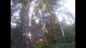 МР79-9ТМ и НАГАН М Стрельба