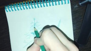 Рисуем поэтапно голубую ель/ёлку сразу цветными карандашами