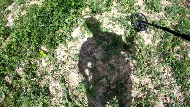 Царские монеты и находки на Боровском тракте. Коп монет с МД