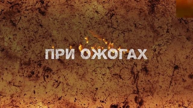 Заживитель
