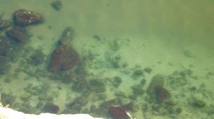 Наш палаточный лагерь на Генеральских пляжах у Азовского моря