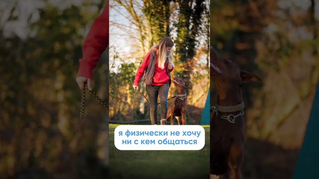 Правила этикета, которые могут спасти жизнь вашему питомцу❗️ #собака #щенок #дрессировкасобак смотреть онлайн