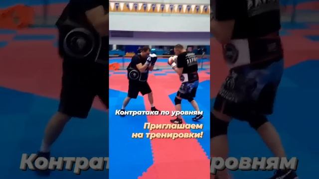 Рукопашный бой. Контратака по уровням - Hand to Hand Combat - Counterattack by Levels