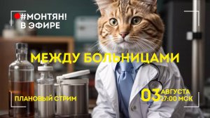 #МОНТЯН В ЭФИРЕ: 🚑 Субботний межбольничный 🚑