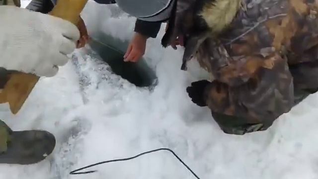 ЗИМНЯЯ РЫБАЛКА 2018 ПЕРВЫЙ ЛЁД. Ловля щуки на жерлицы Как поймать щуку зимой смотреть онлайн