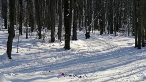 Зимний активный отдых семьей