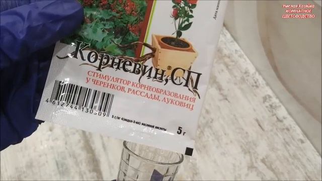 ПОЧЕМУ ГИБНУТ ПОКУПНЫЕ МАГАЗИННЫЕ ? ЦВЕТЫ⁉️ КАК РЕАНИМИРОВАТЬ ХИЛЫЕ РАСТЕНИЯ⁉️