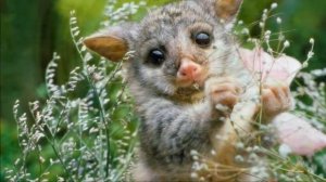 На круглой планете