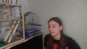 Как ухаживать за волнистым попугаем?Что надо делать чтобы попугай был здоровым??