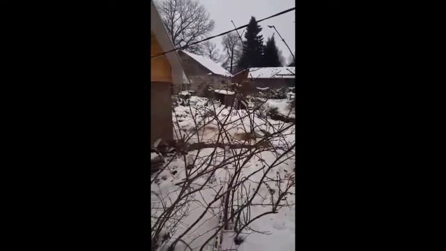 Семхоз. Собаки. смотреть онлайн