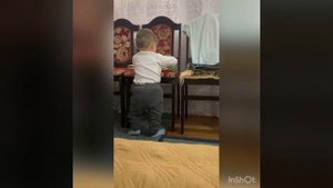 playing, farting and pooping