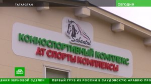 28.08.23 состоялось торжественное открытие конноспортивного комплекса МБУ Спортивная школа Сабантуй