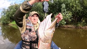 Неплохой экземпляр