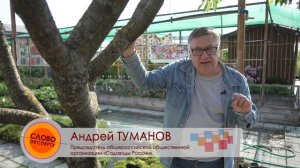 Насколько вредны лишайники?