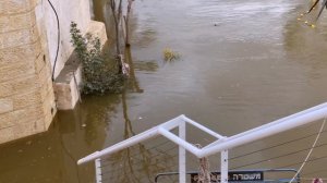 В день Крещения на реке Иордан | Израиль | On the Jordan River | Israel