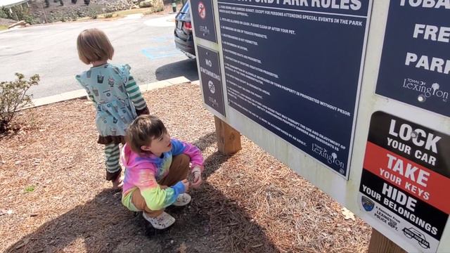 Visiting Gibson Pond смотреть онлайн