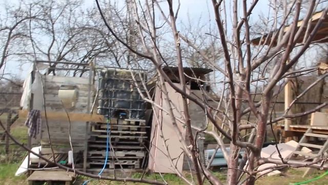 Огородник со стажем учит "чайника" как превратить запущенный участок в шикарный сад.  Часть 1.