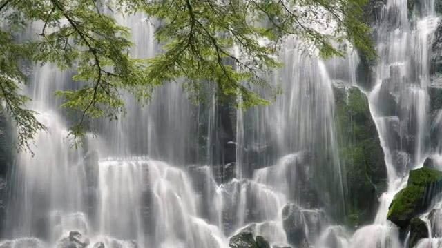 ♫ The Best Of Leo Rojas ♫ Лео Рохас Лучшее ♫ смотреть онлайн