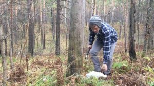 Прогулка по лесу. Советы Соколова Григория. Fiskars X11