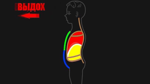 3 точки. Зрение. Пирамиды. Диафрагма. Кровь! Харе Кришна! смотреть онлайн