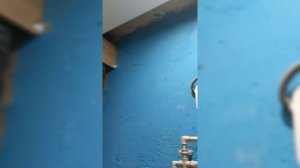 Зашивка ниши над инсталляцией