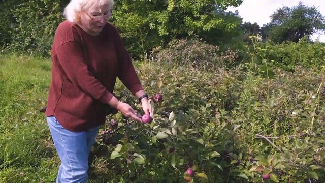 Экскурсия по ботаническому саду им. В. М. Крутовского смотреть онлайн