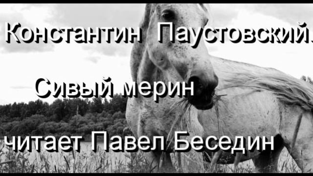 Константин  Паустовский  Сивый мерин   читает Павел Беседин