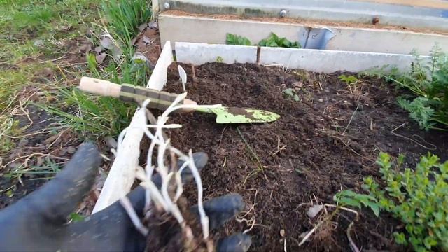 Распаковка посылки от "Сад Флоксов" смотреть онлайн