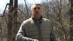 Защита от насекомых для беременных и детей - Доктор Комаровский