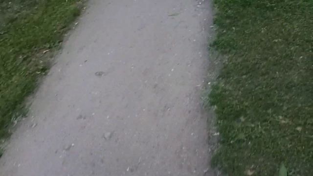 САМЫЙ РЕВОЛЮЦИОННЫЙ ОБЗОР СРЕДИ ОСТАЛЬНЫХ // ОБЗОР НА ЭНЕРГЕТИК FREE MASAI SUNRISE КИВАНО / ЛАЙМ смотреть онлайн