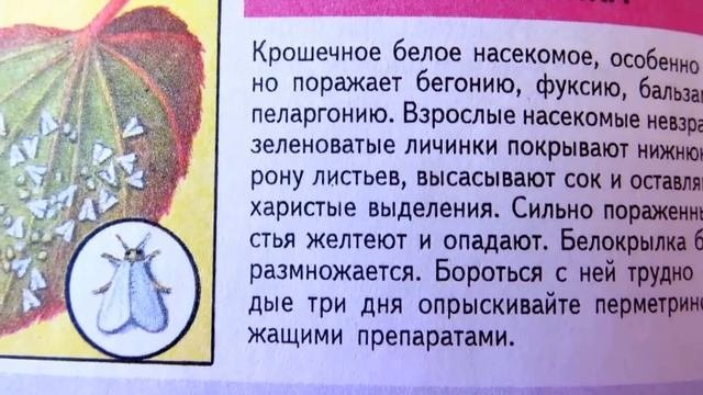 ЯНВАРЬ(часть3) для садоводов, цветоводов и огородников