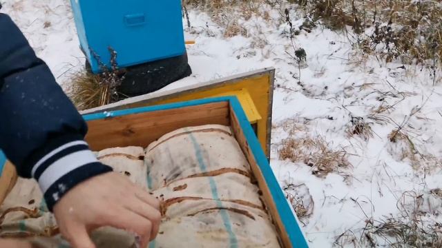 Зимовка пчёл. Чем утеплять улья? Кирпичи в Лысонь, одеяла и подушки в деревянные ульи! смотреть онлайн