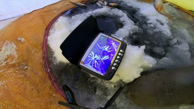 Рыбалка на окуня! Рыбалка в Новосибирске на мормышку. смотреть онлайн