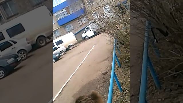 Скрытая камера *О*девочки *О* смотреть онлайн