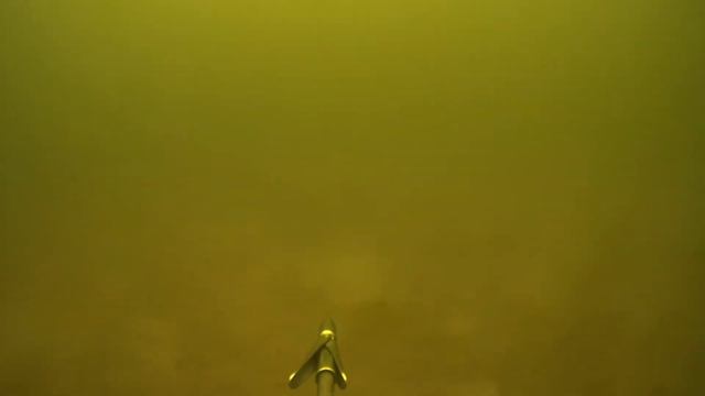 Подводная охота. Лето 2017 (2) смотреть онлайн